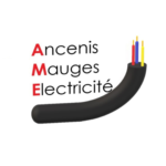 Image de l'article ANCENIS MAUGES ELECTRICITE